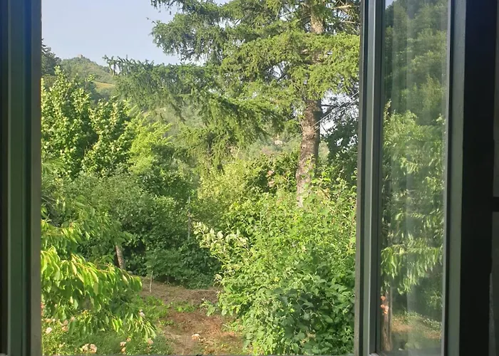 La Veranda * マッラーディ